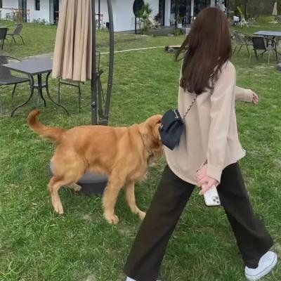 最幸运的女孩